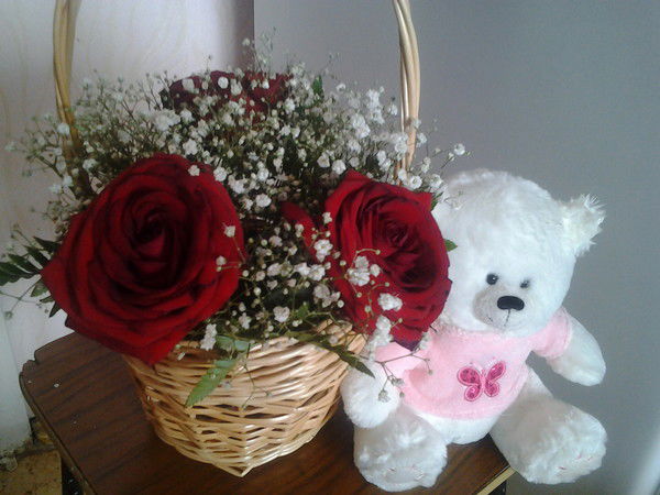 Эльвира Арсланова