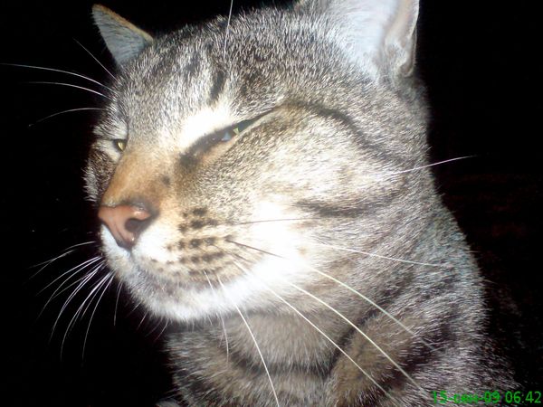 Михаил Владимирович