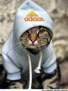 Алексей Новосёлов