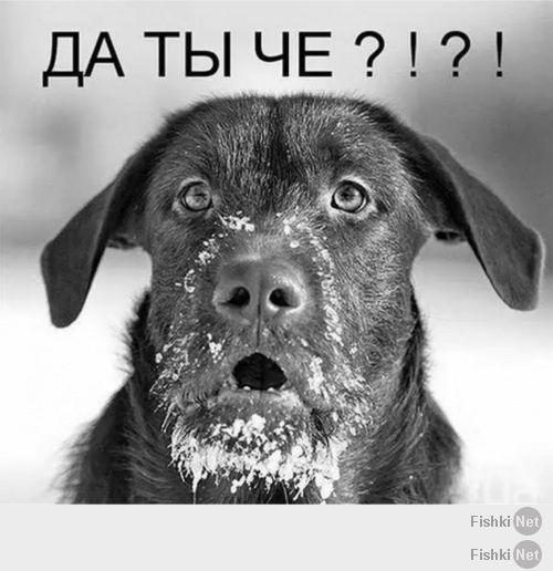 Иван Круглый