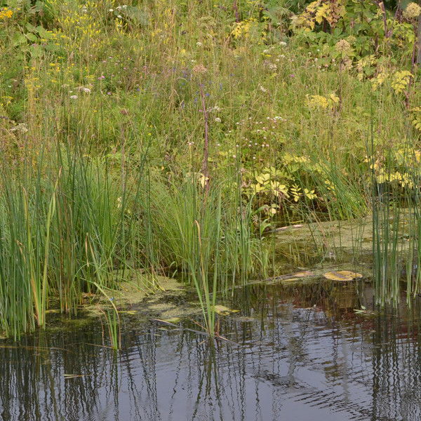 Любовь Бобрик