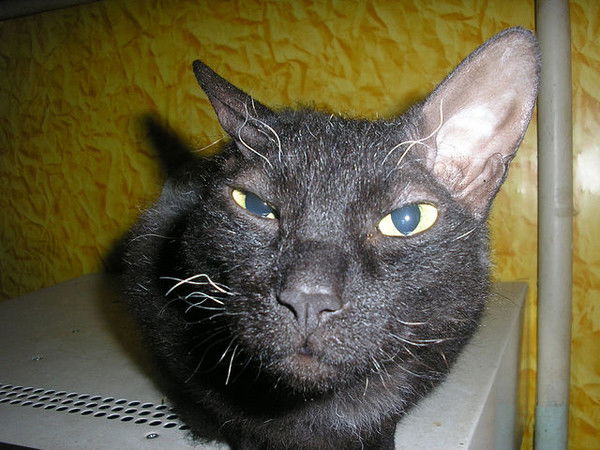 Игорь Варгасин