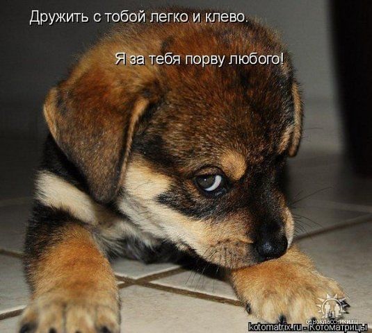 Тори Берсенева