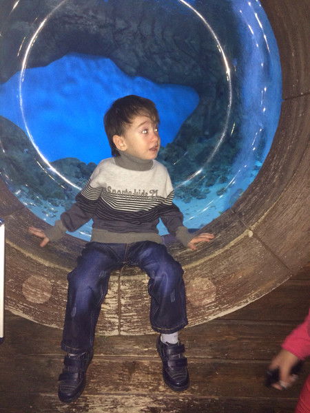 Илкин Наджафов