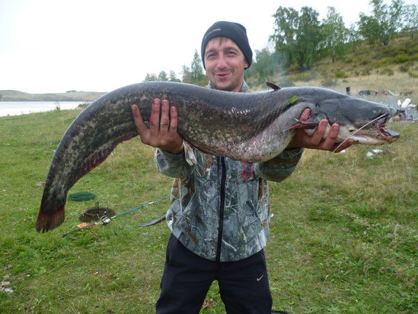 Марат Хисамов