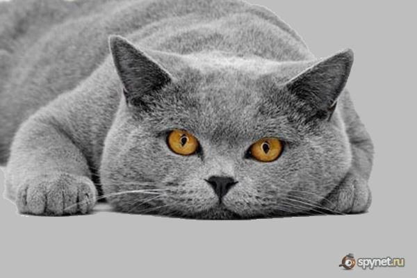 Евгения Рукавишникова