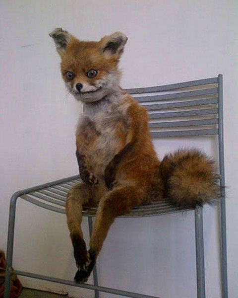 Aлександр Никому_Незнакомый