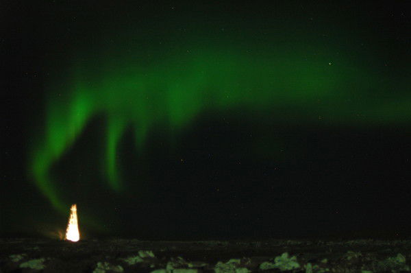 Дмитрий Никитин