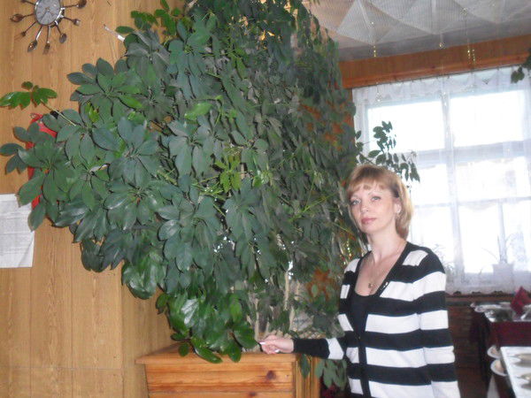 Ирина Нестерова