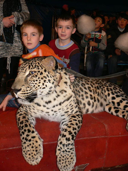 Игорь Янудин