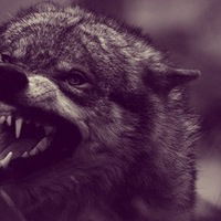 Дмитрий Дмитриев