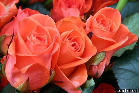 Данель Нуркина