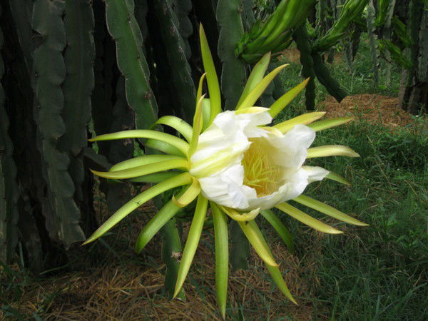 Любовь Галимзянова