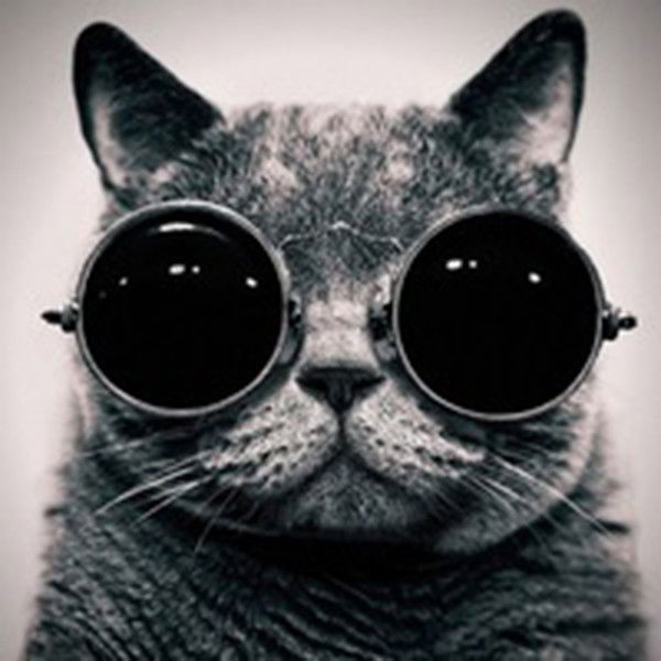 Настасья Якунчева