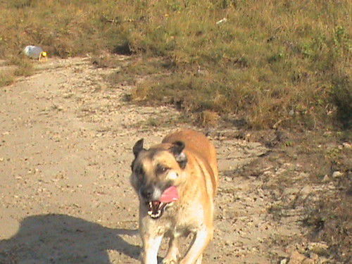 Вячеслав Петров