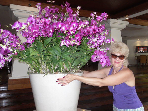 Людмила Коренева