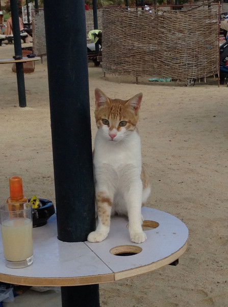 Татьяна Дзюба