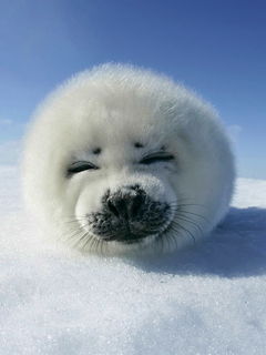 Юра Лукьянченко