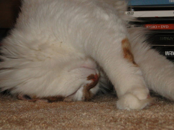 Владимир Михалев