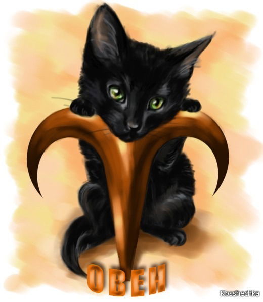 Савия Хажеева