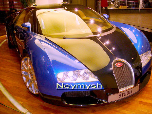 Владимир Неймышев