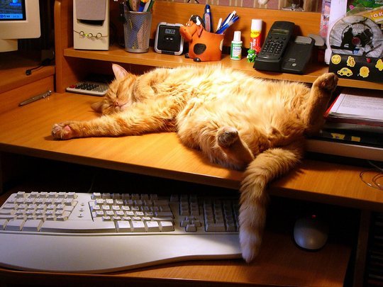 Геннадий Чебышев