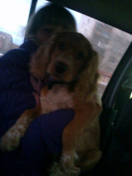 Алька Панькова