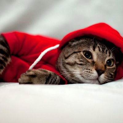 Влад Пятайкин