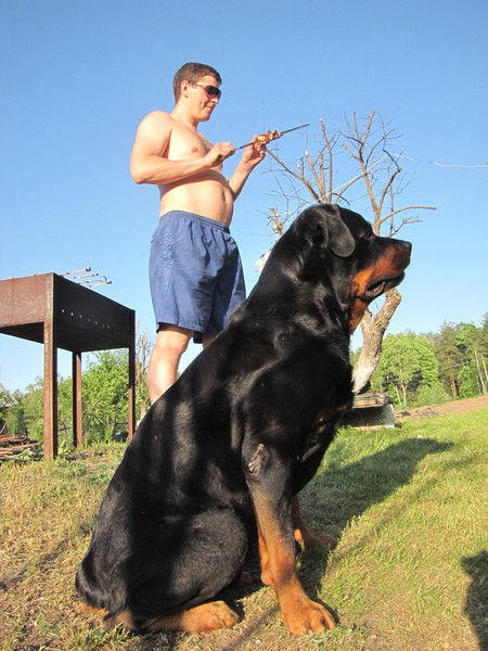 Дмитрий Полуян