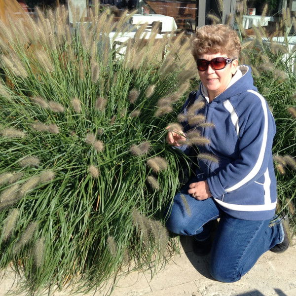 Татьяна Токарева