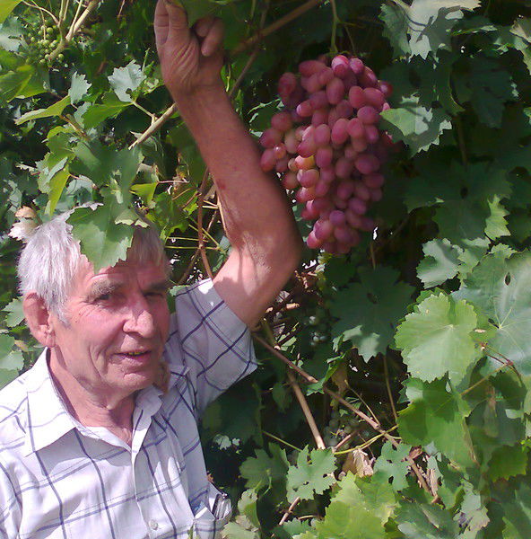 Юрий Шинкарецкий