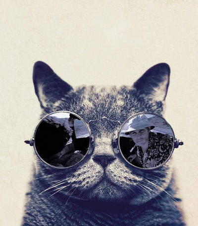 Владислав Паульс