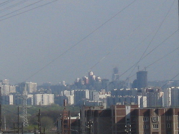 Светлана Шеповалова