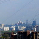 Светлана Шеповалова