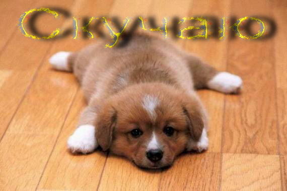 Василий Виноградов