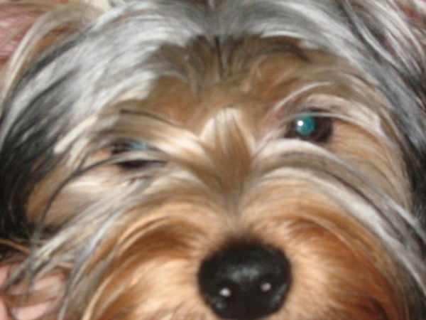 Настюша Тимошкина