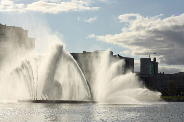 Саша Видрицкий