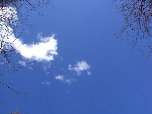 Галина Тюленева