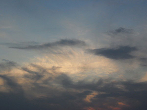 Александр Шатохин