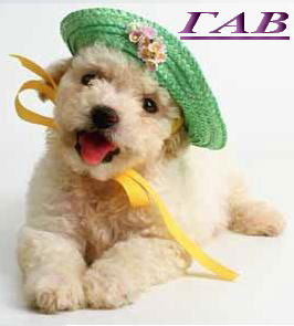 Людмила Пушина