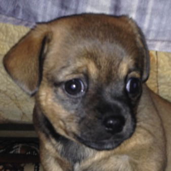 Вася Васильев