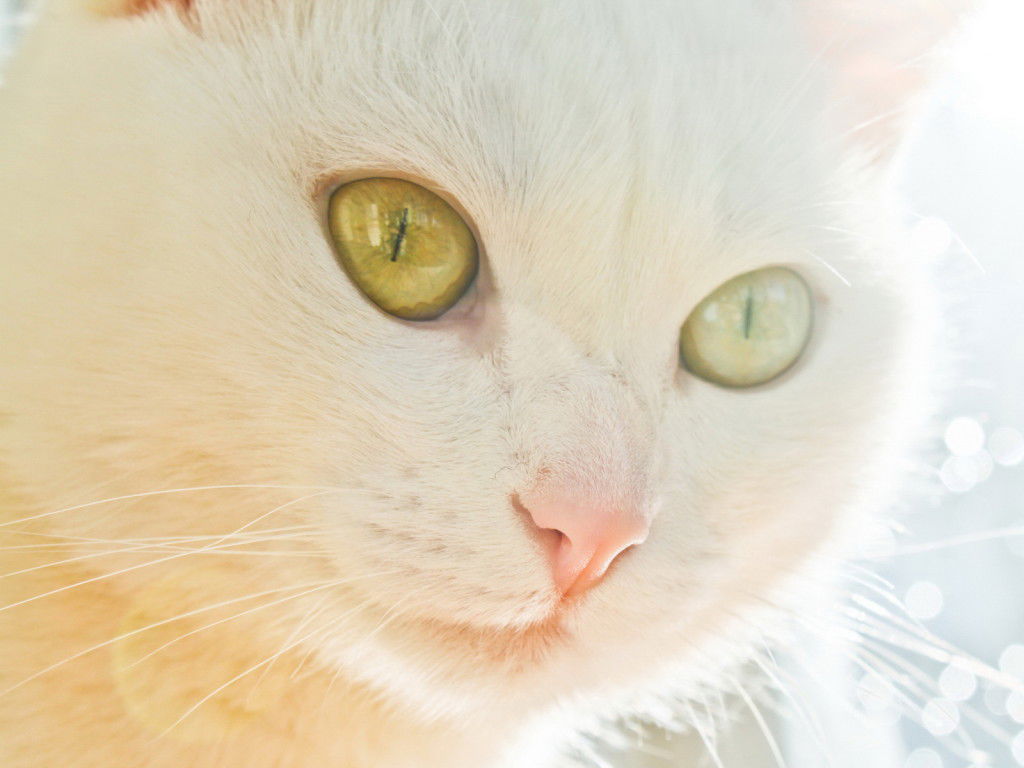 Юля Бронникова