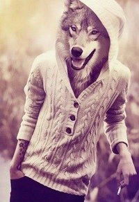 Алихан Бозаев