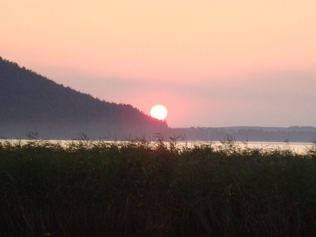 Елена Печорина