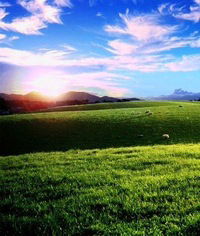 Саша Горденко