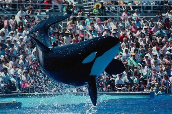 Наташенка Наташа