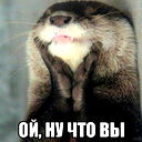 Михаил Новожилов