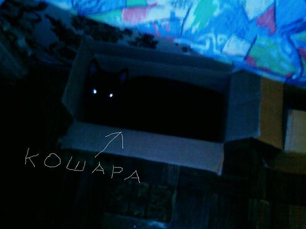 Вячеслав Ильин