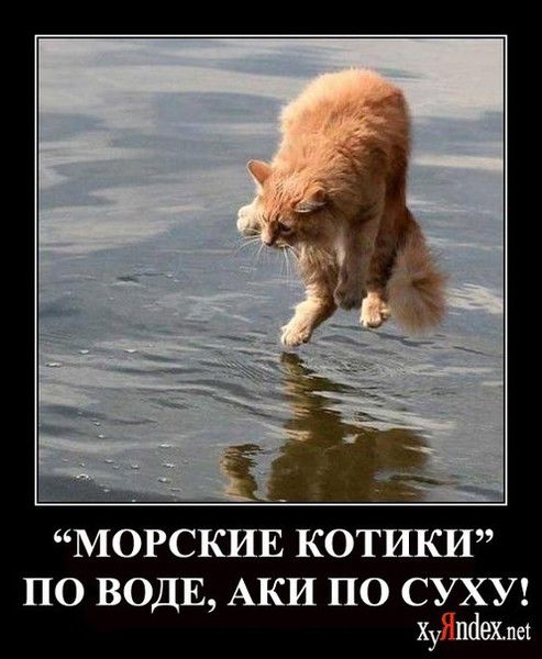 Денис Ковалёв