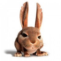 Андрейевгеньевич Ямнов